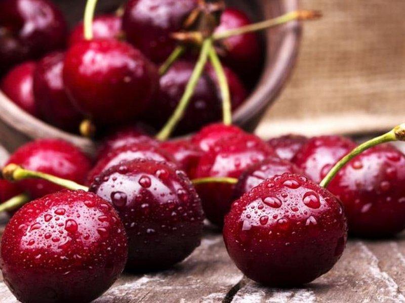Вишня купить саженцы из питомника в Донском